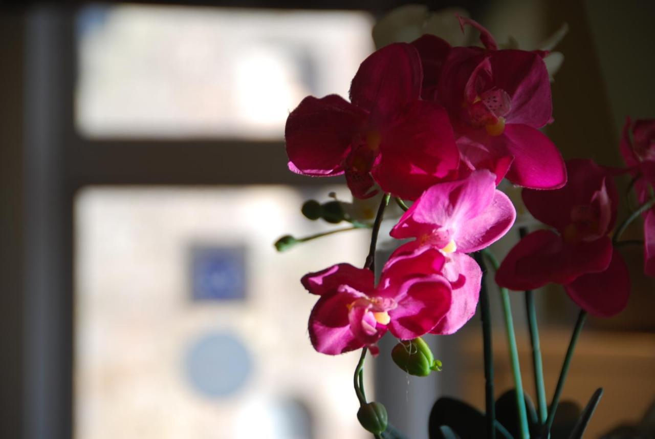 King Street Apartment Inverness Bagian luar foto